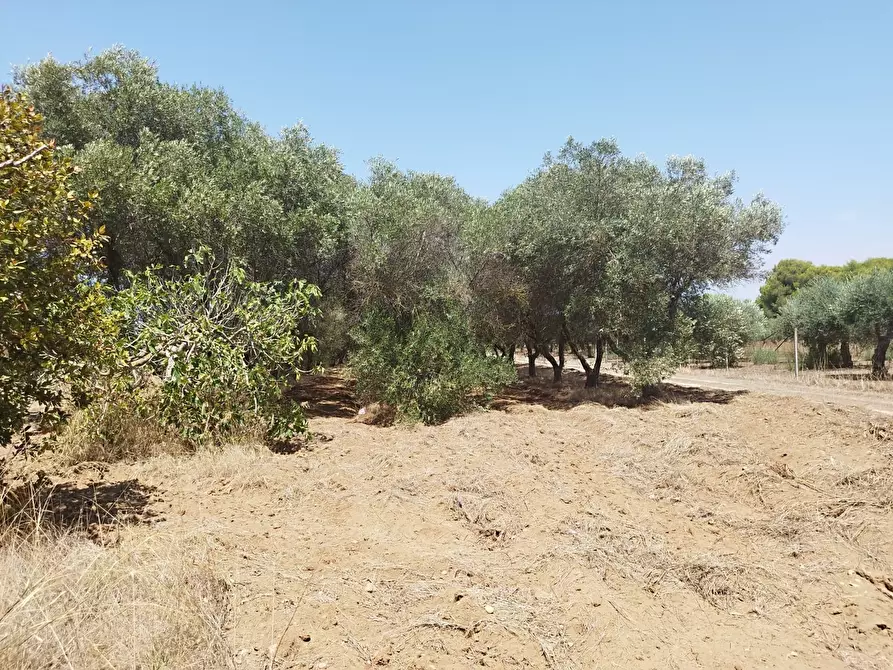 Immagine 8 di Terreno edificabile in vendita  a Maruggio