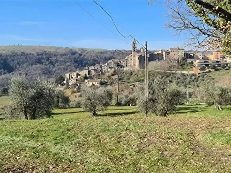 Immagine 2 di Terreno in vendita  a Orvieto