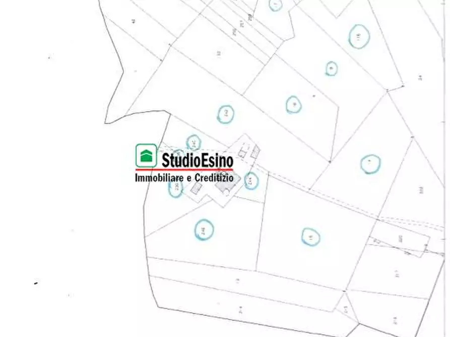 Immagine 2 di Terreno in vendita  a Appignano Del Tronto