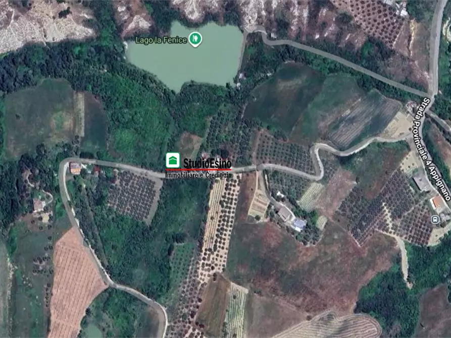 Immagine 1 di Terreno in vendita  a Appignano Del Tronto