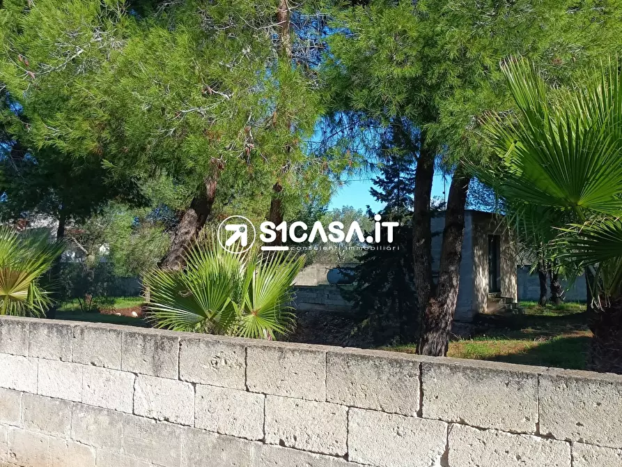 Immagine 6 di Terreno in vendita  a Galatone