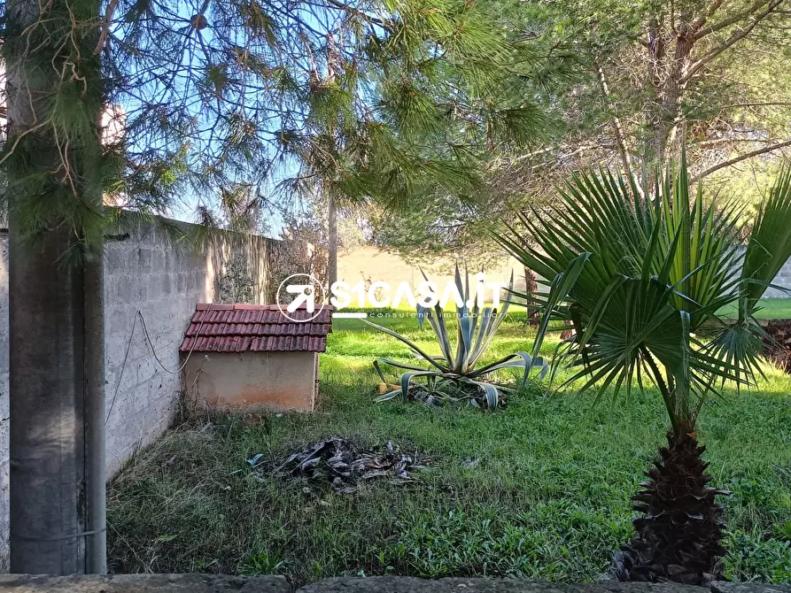 Immagine 3 di Terreno in vendita  a Galatone