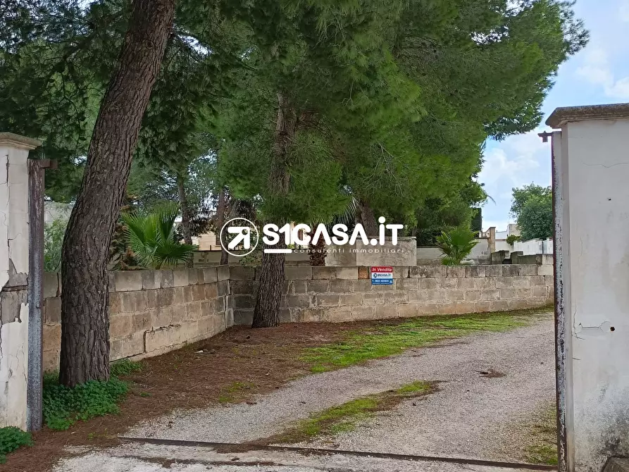 Immagine 7 di Terreno in vendita  a Galatone