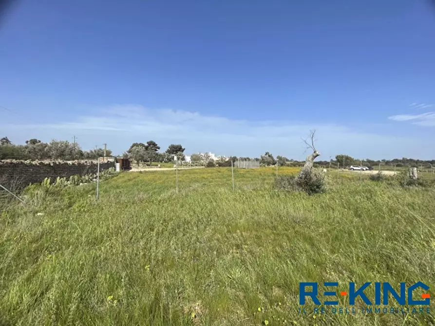 Immagine 8 di Terreno in vendita  a Galatone