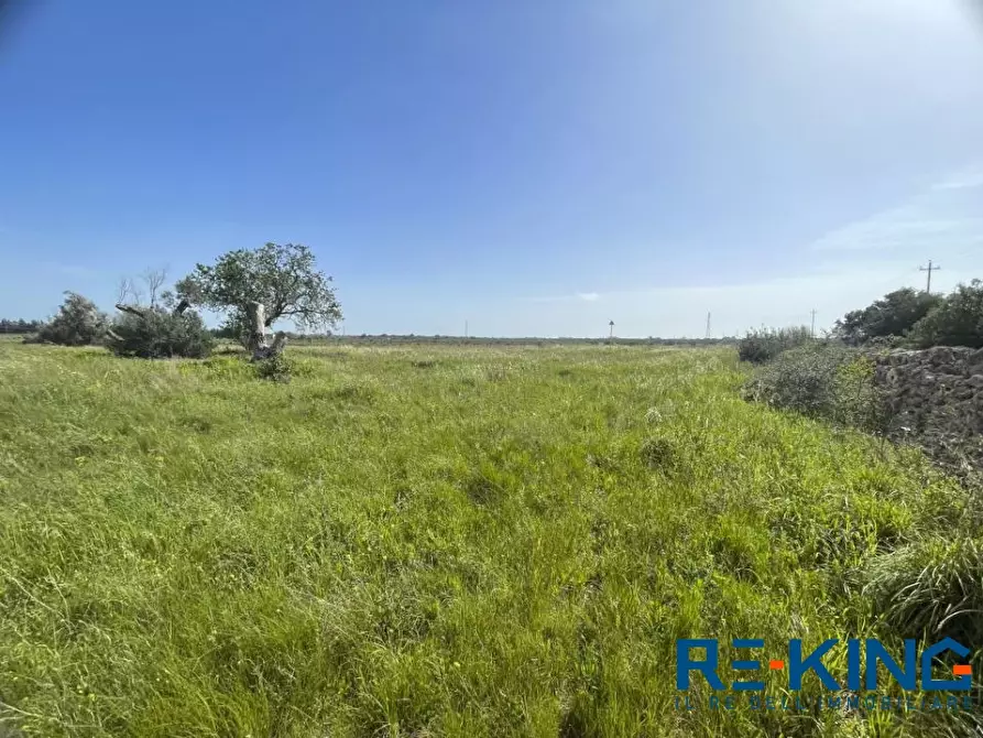Immagine 5 di Terreno in vendita  a Galatone