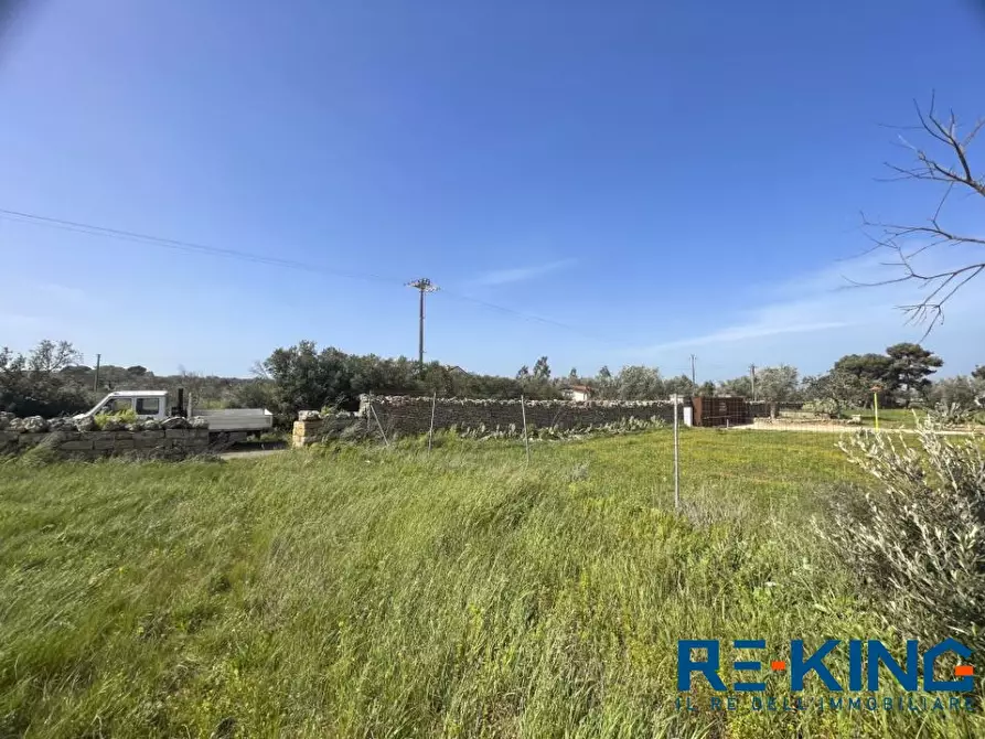 Immagine 9 di Terreno in vendita  a Galatone