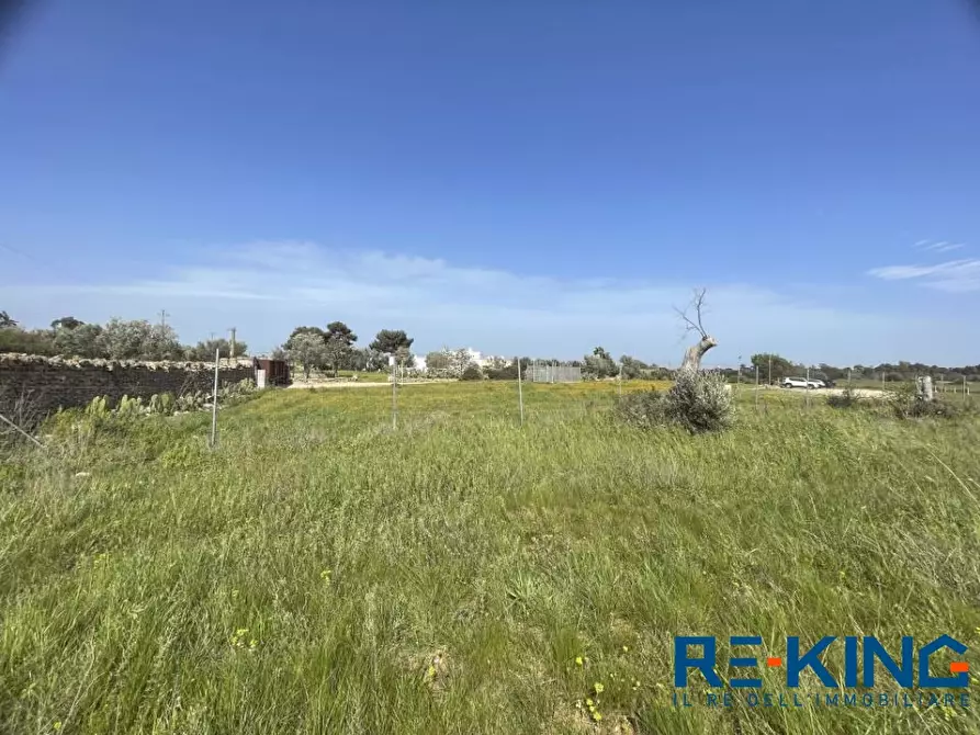 Immagine 7 di Terreno in vendita  a Galatone