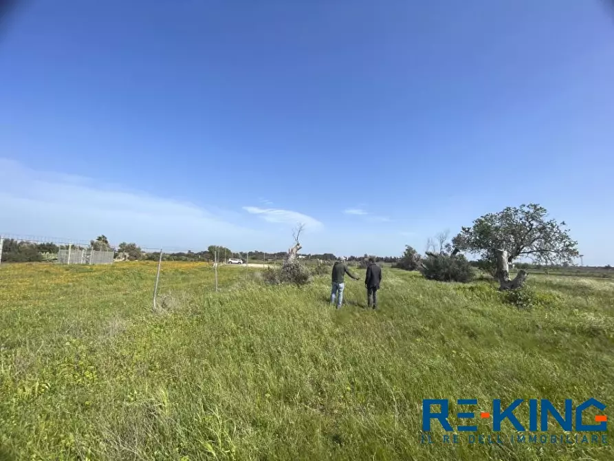 Immagine 4 di Terreno in vendita  a Galatone