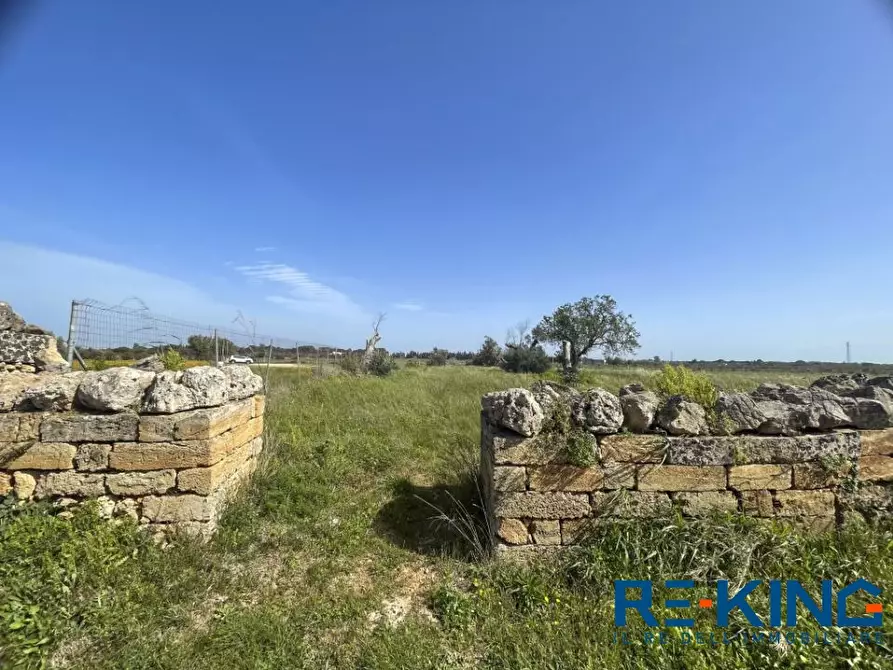 Immagine 3 di Terreno in vendita  a Galatone