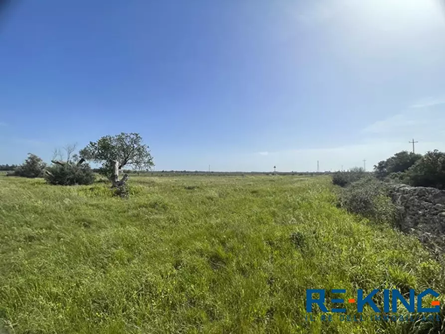 Immagine 6 di Terreno in vendita  a Galatone