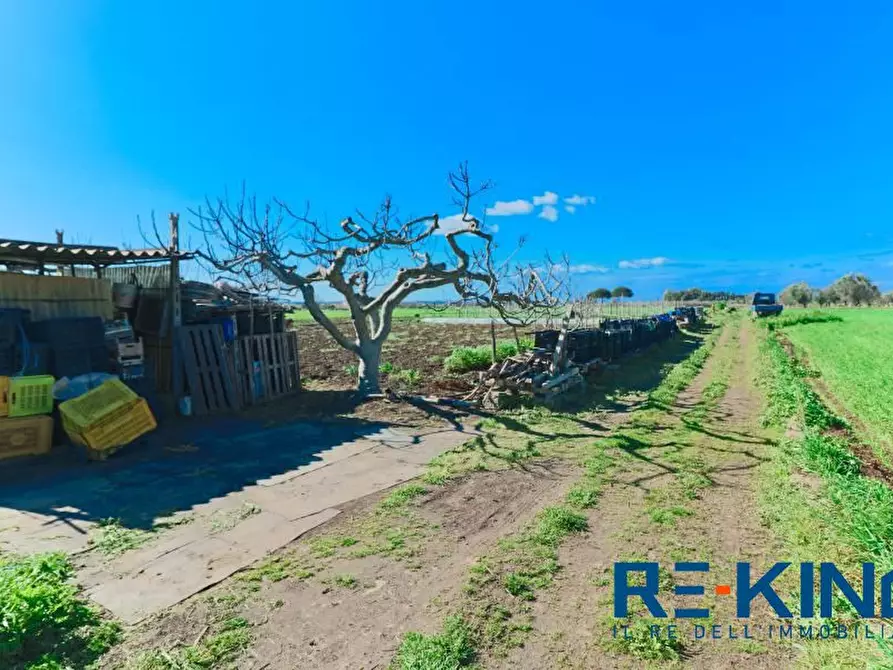 Immagine 3 di Terreno in vendita  a Matino