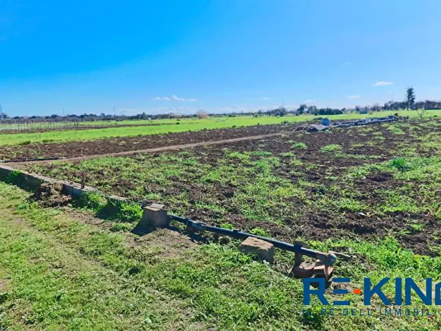 Immagine 10 di Terreno in vendita  a Matino