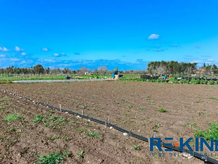 Immagine 7 di Terreno in vendita  a Matino