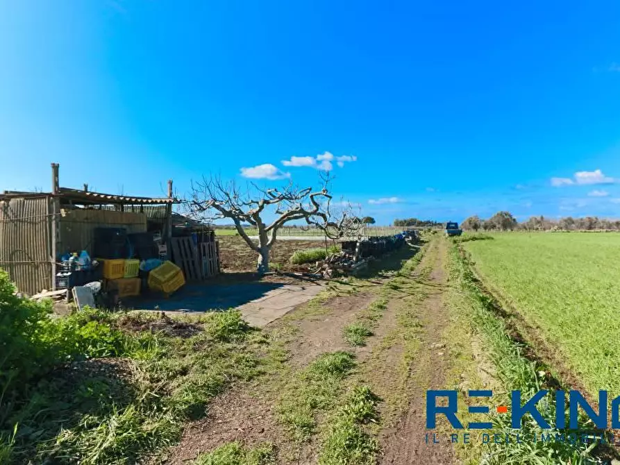 Immagine 2 di Terreno in vendita  a Matino