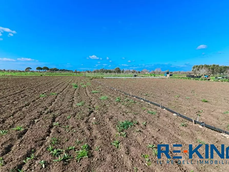 Immagine 1 di Terreno in vendita  a Matino