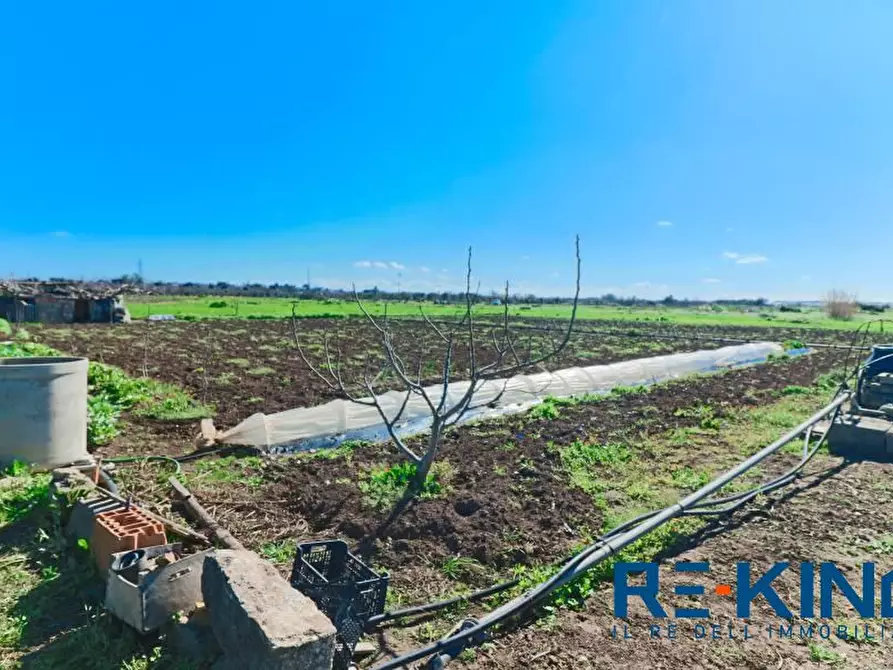 Immagine 5 di Terreno in vendita  a Matino