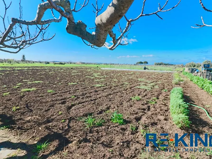 Immagine 4 di Terreno in vendita  a Matino