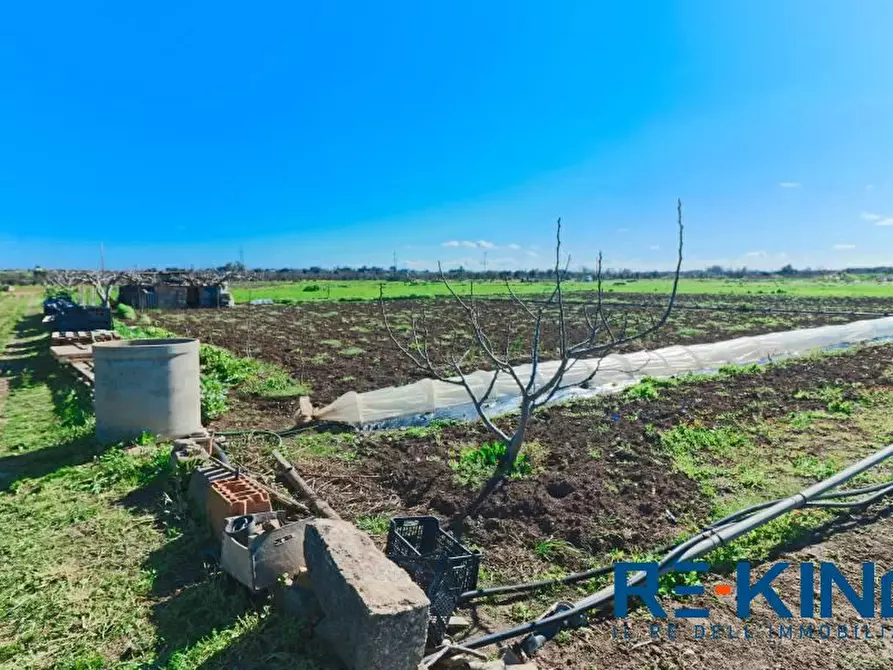 Immagine 9 di Terreno in vendita  a Matino