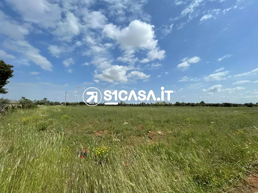 Immagine 2 di Terreno in vendita  a Galatone