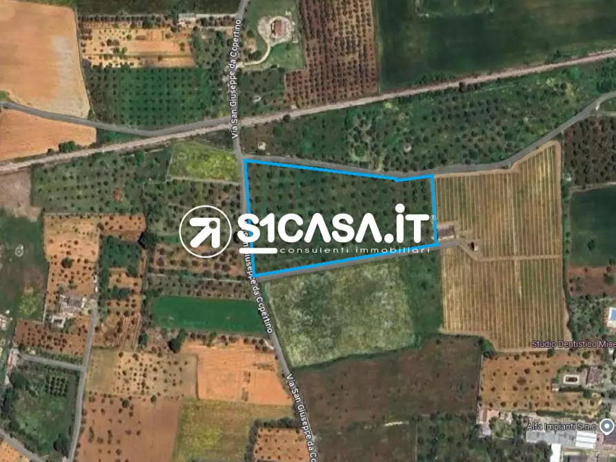 Immagine 5 di Terreno in vendita  a Galatone