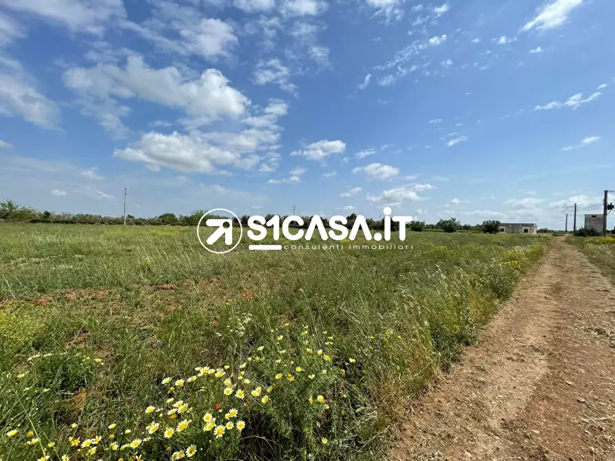 Immagine 3 di Terreno in vendita  a Galatone