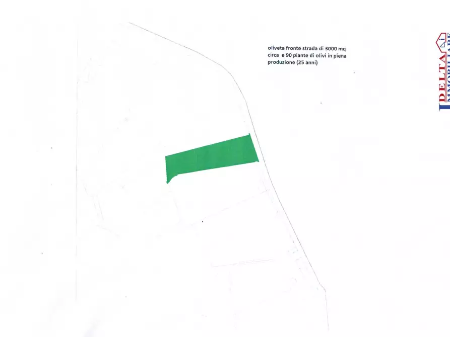 Immagine 2 di Terreno in vendita  a Rosignano Marittimo