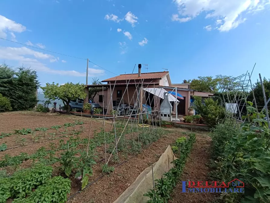 Immagine 6 di Terreno in vendita  a Cecina