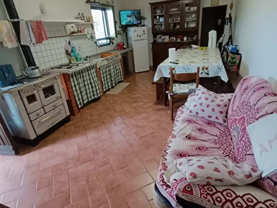 Immagine 10 di Terreno in vendita  a Cecina