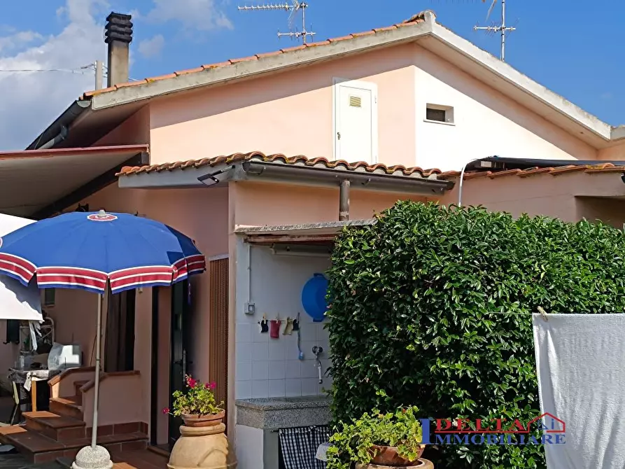 Immagine 2 di Terreno in vendita  a Cecina