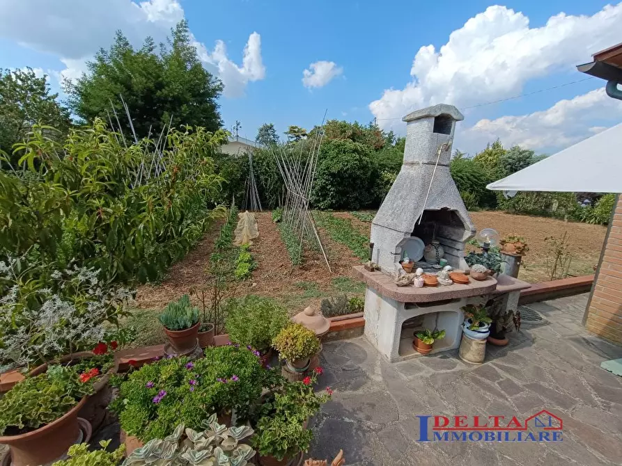 Immagine 9 di Terreno in vendita  a Cecina