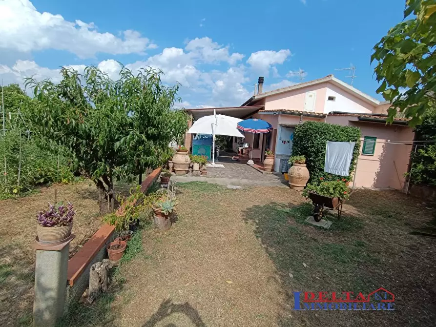 Immagine 5 di Terreno in vendita  a Cecina