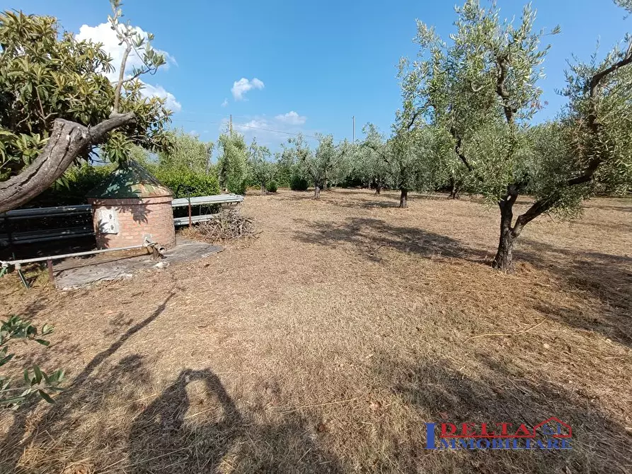 Immagine 6 di Terreno in vendita  a Rosignano Marittimo