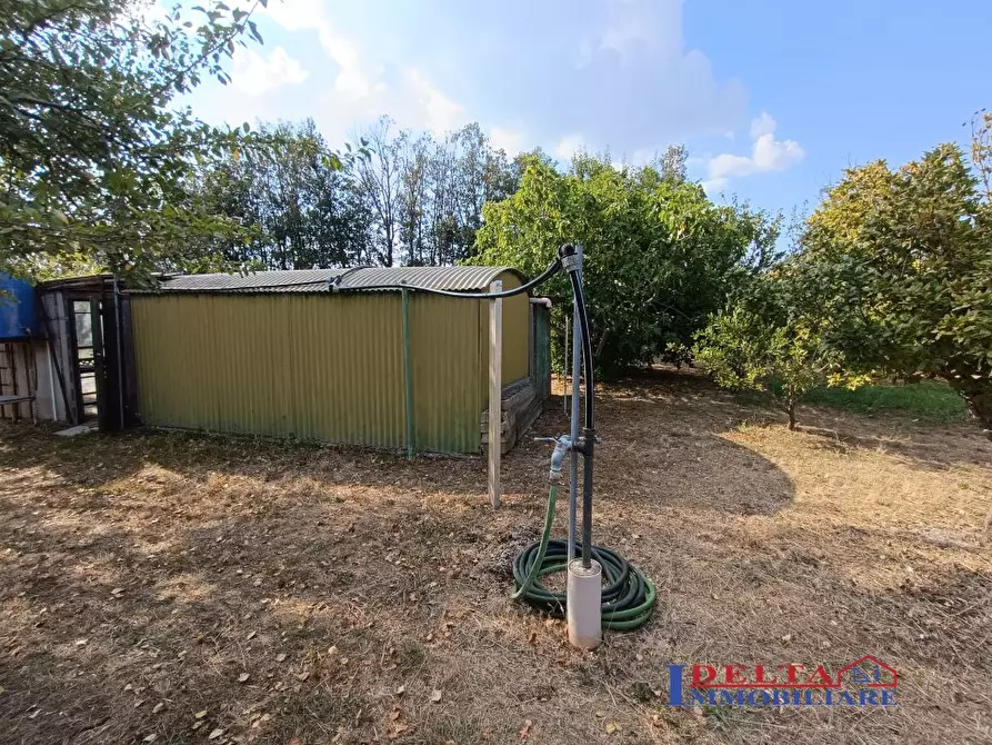 Immagine 9 di Terreno in vendita  a Rosignano Marittimo