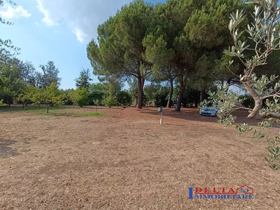 Immagine 10 di Terreno in vendita  a Rosignano Marittimo