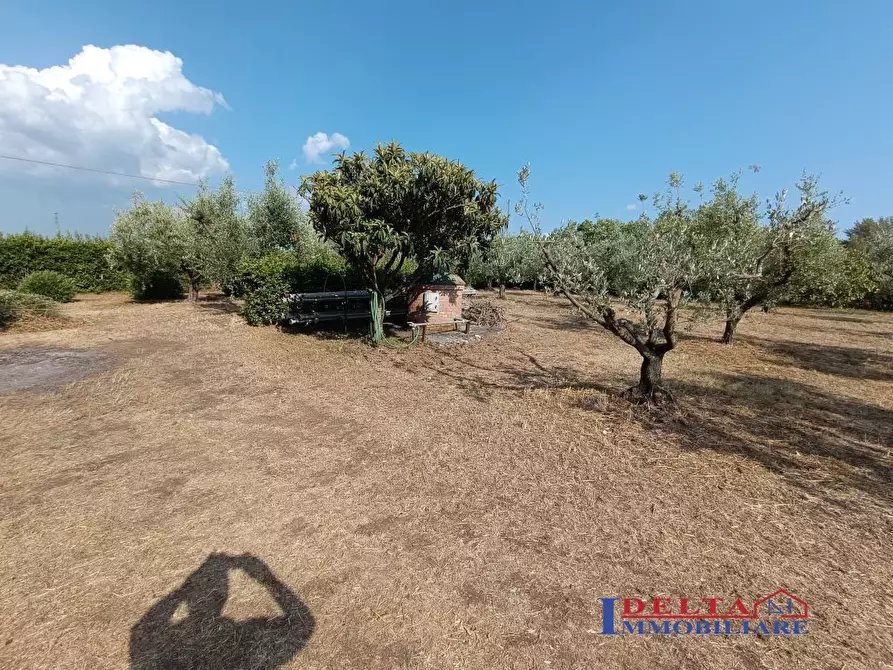 Immagine 4 di Terreno in vendita  a Rosignano Marittimo