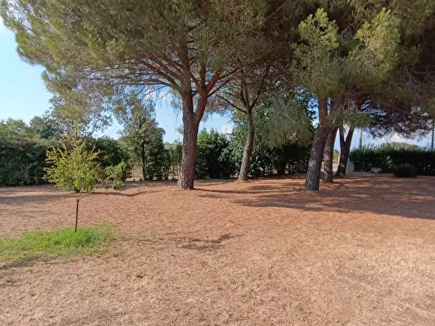 Immagine 2 di Terreno in vendita  a Rosignano Marittimo