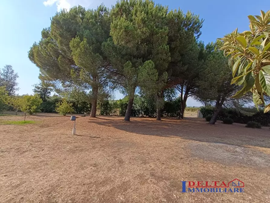 Immagine 5 di Terreno in vendita  a Rosignano Marittimo