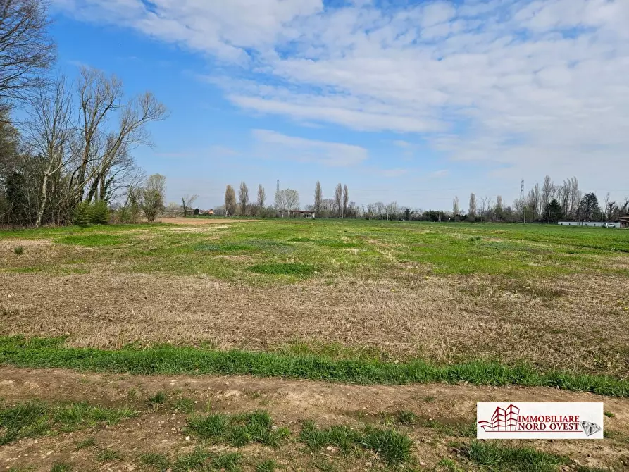 Immagine 5 di Terreno in vendita  a Corbetta