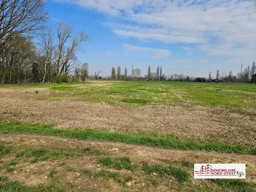 Immagine 7 di Terreno in vendita  a Corbetta
