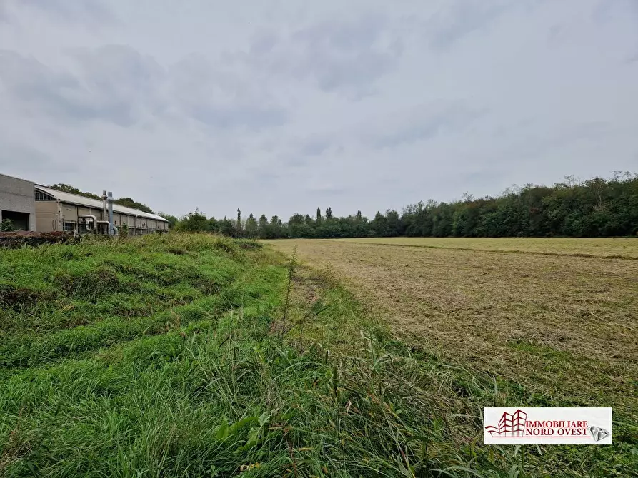 Immagine 1 di Terreno in vendita  a Arluno