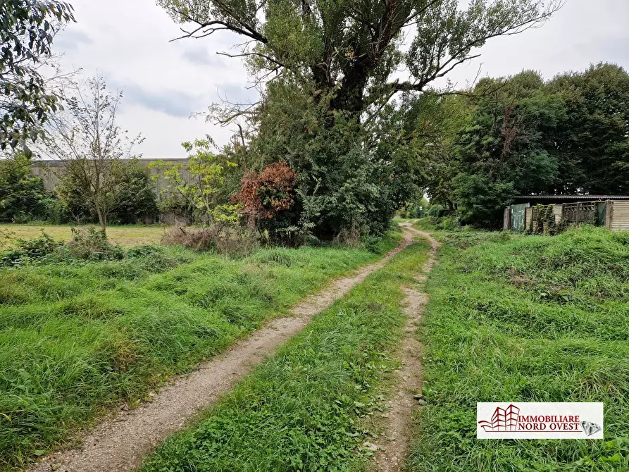 Immagine 2 di Terreno in vendita  a Arluno
