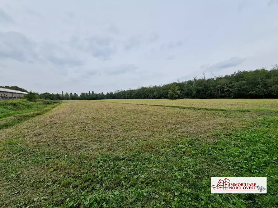 Immagine 3 di Terreno in vendita  a Arluno