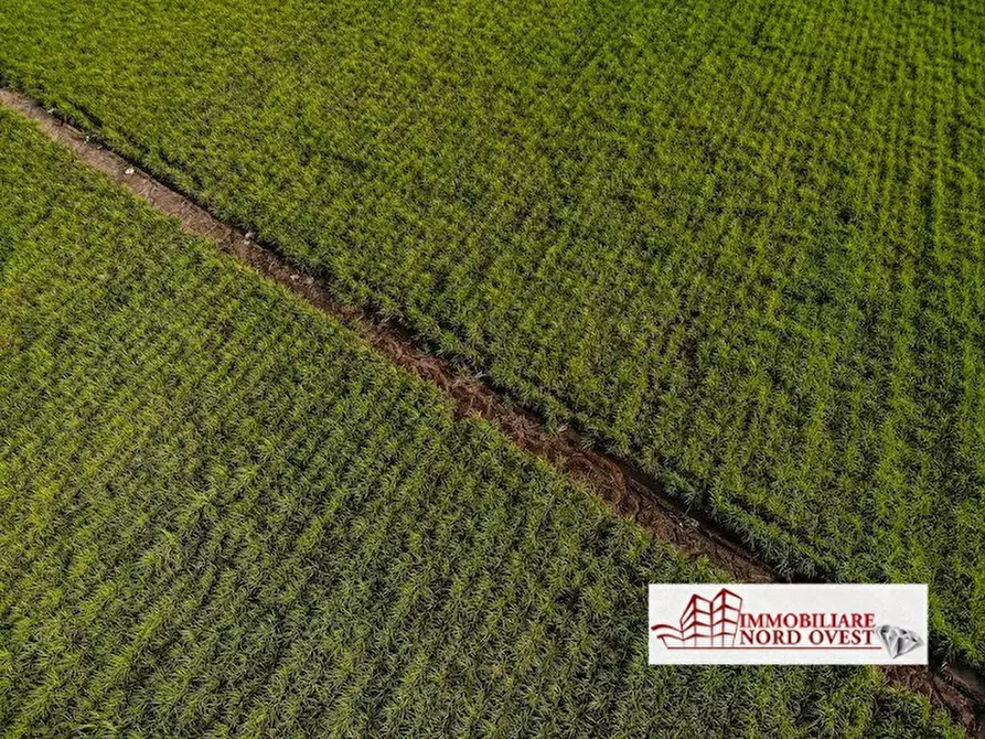 Immagine 7 di Terreno in vendita  a Arluno