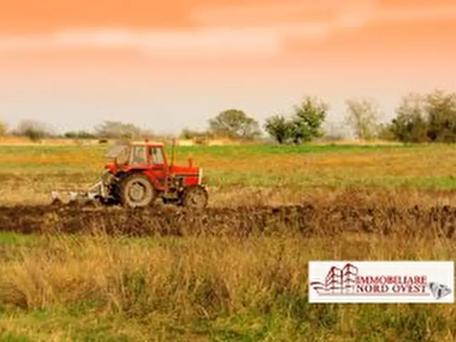 Immagine 6 di Terreno in vendita  a Arluno