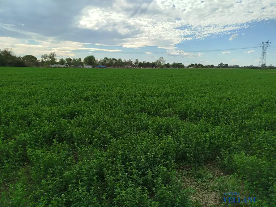 Immagine 2 di Terreno in vendita  a Carpi