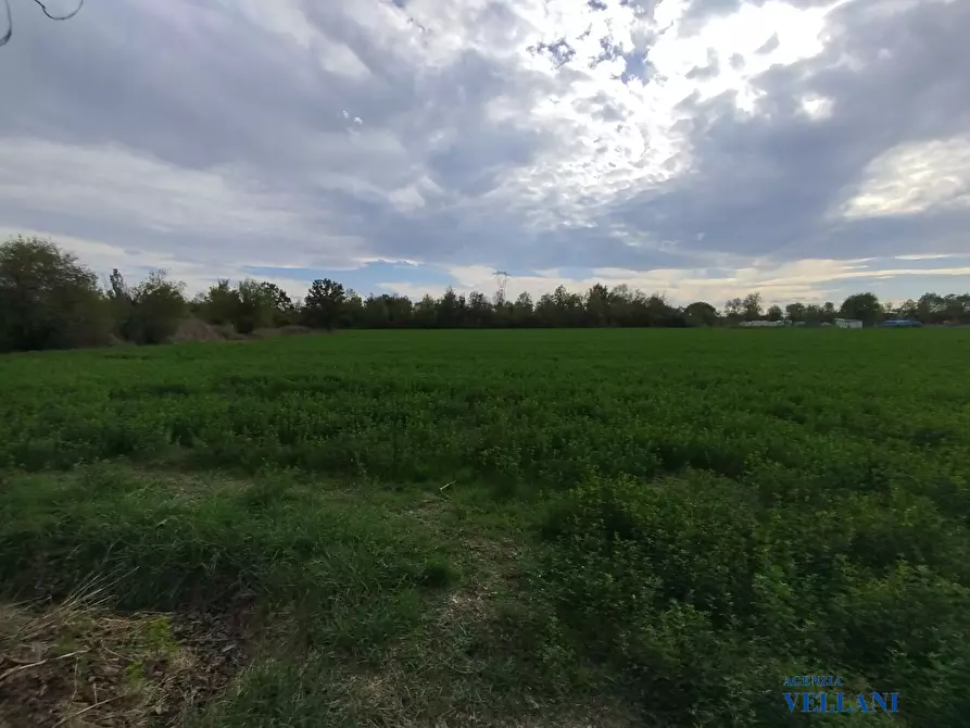 Immagine 1 di Terreno in vendita  a Carpi