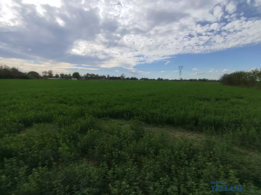 Immagine 4 di Terreno in vendita  a Carpi