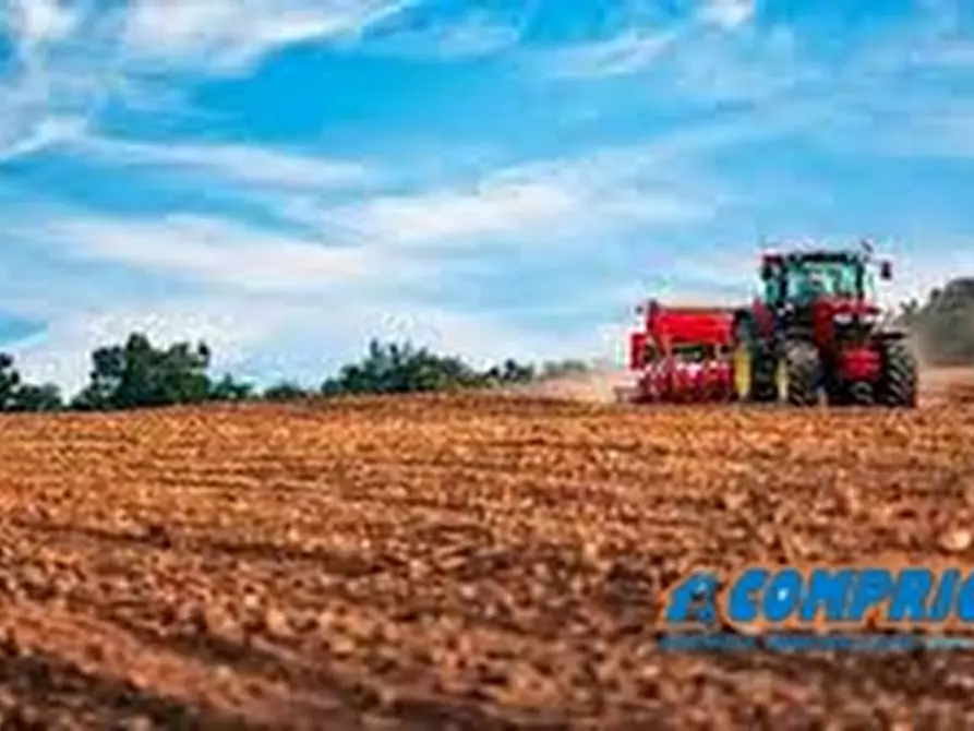 Immagine 1 di Terreno in vendita  a Montagnana