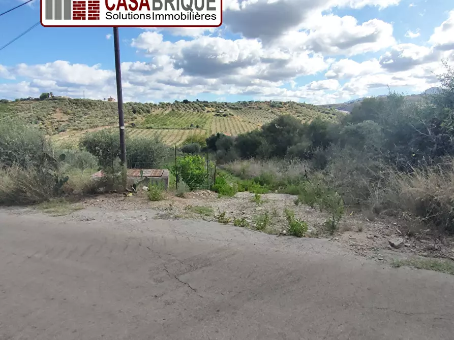 Immagine 6 di Terreno in vendita  a Campofelice Di Roccella