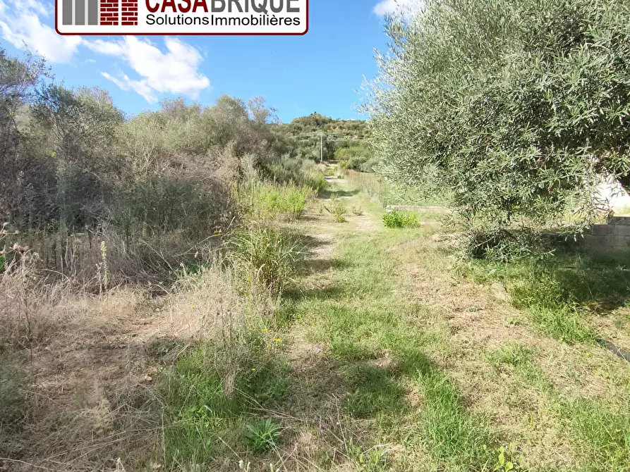 Immagine 3 di Terreno in vendita  a Campofelice Di Roccella